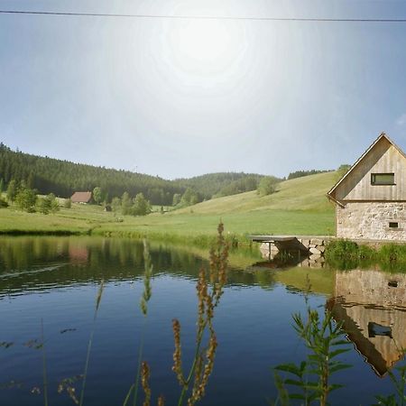 Ferienhaus Im Schwarzwald Am See "Backhaeusle" Villa Hornberg Kültér fotó